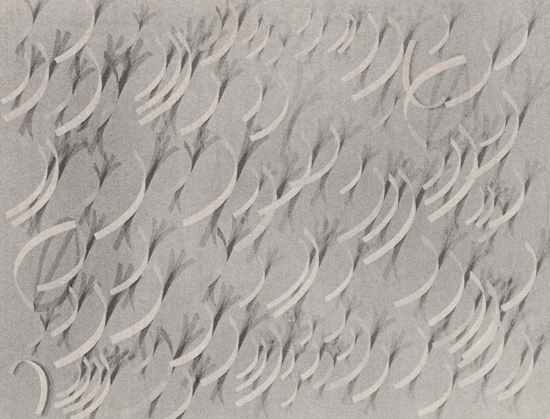 Blind Signature Scheme: Enhancing Privacy in Digital Transactions