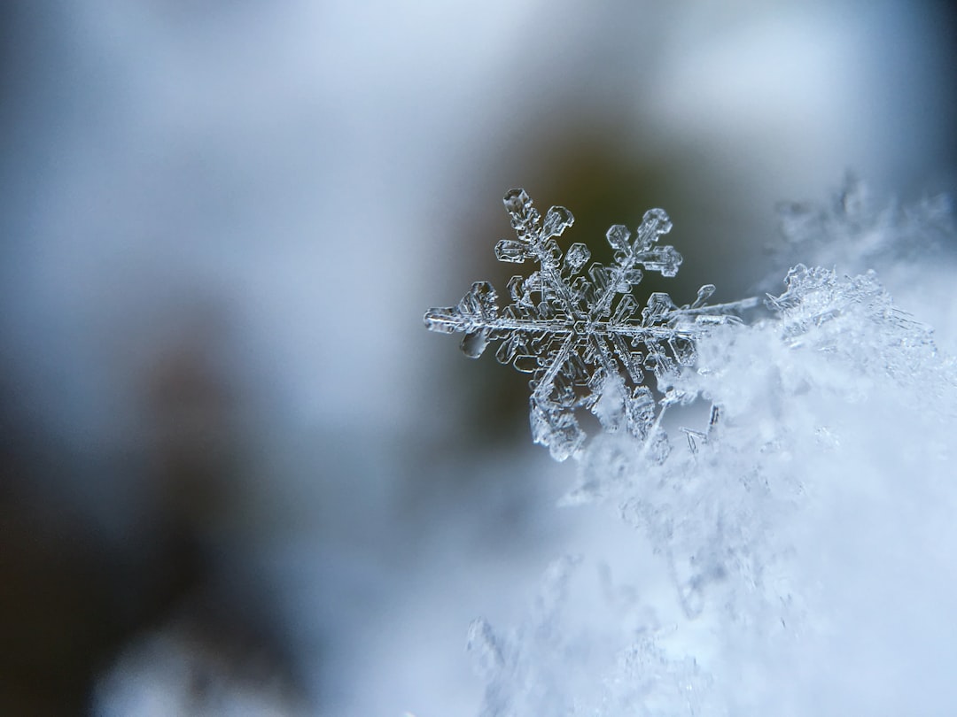 Boost Crypto Privacy with VPNs, Tor, and Snowflake Contributions