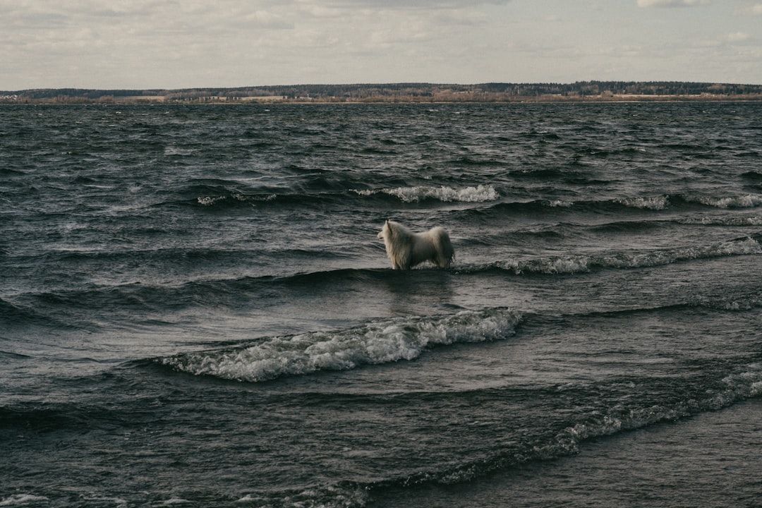 Detecting Sybil Attacks in Cryptocurrency Networks