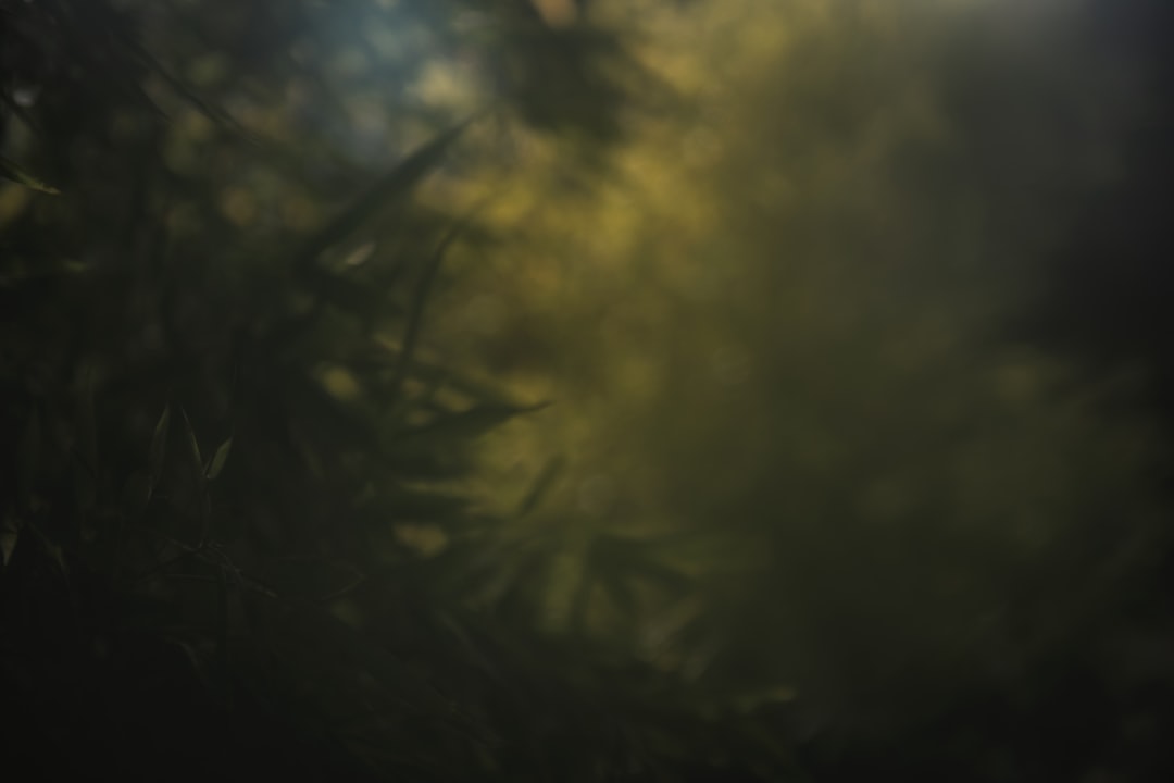 Hidden Recipient Addresses: Enhancing Privacy in Cryptocurrency Transactions