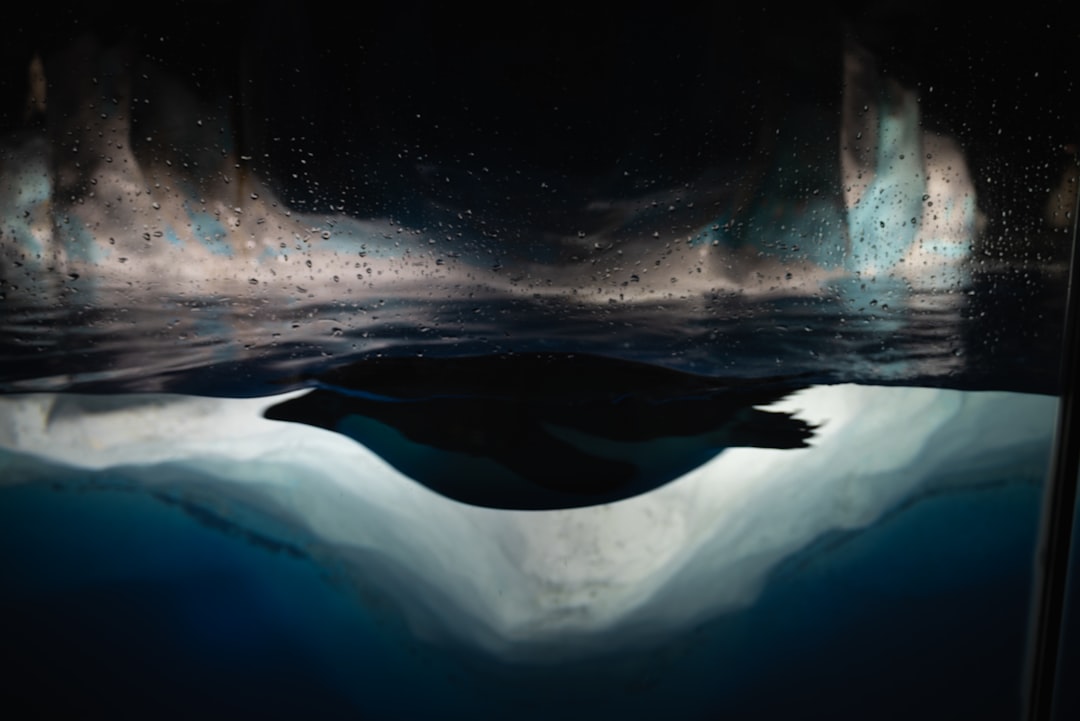 Manta Pacific Privacy: Secure Transactions in the Crypto Era
