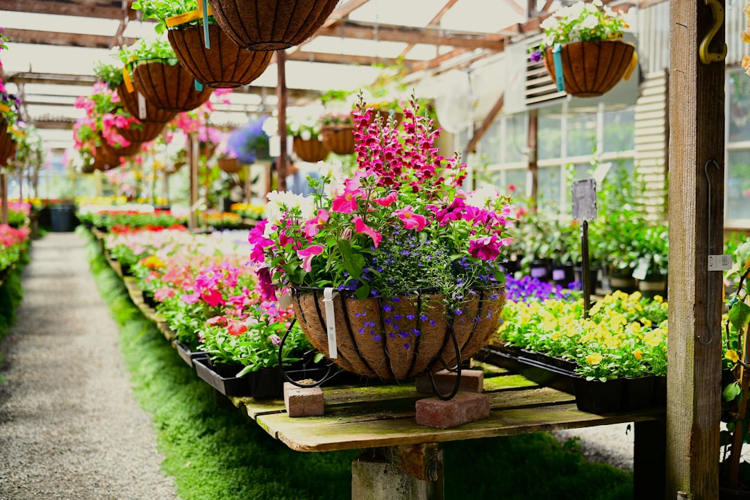 Mastering Garden Finance HTLC: A Privacy-First Crypto Bridge Guide