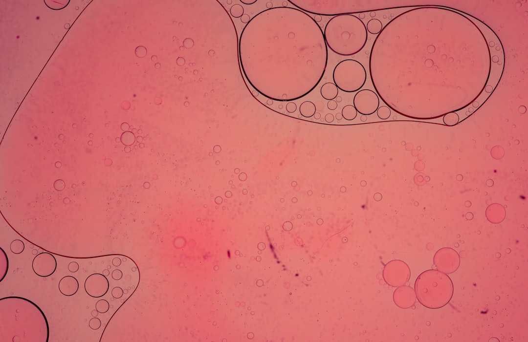 Mastering Transaction Graph Analysis: A Guide to Cryptocurrency Privacy