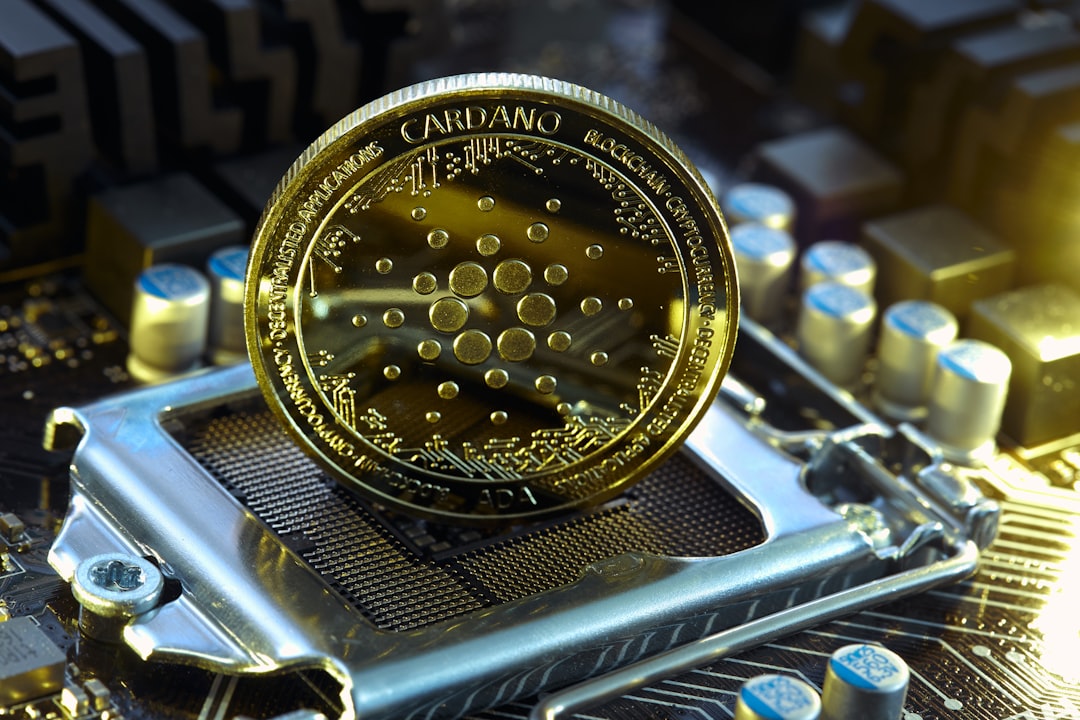 Как оплачивать товары Monero: полное руководство по приватным платежам