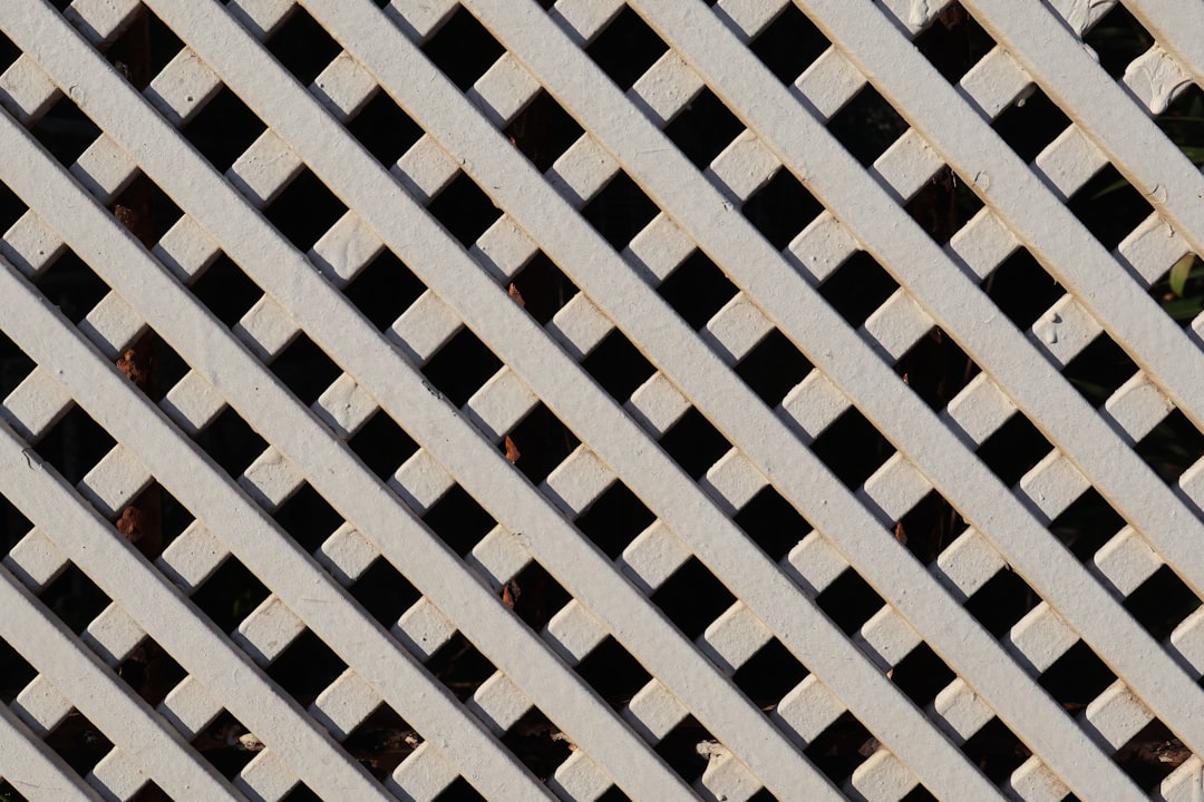 Хейвен Протокол: Анонимность в мире криптовалют