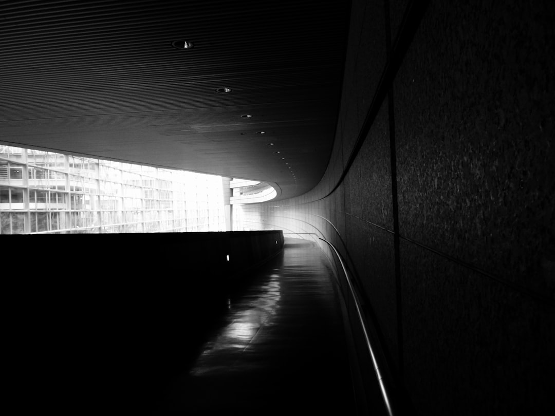 Форензика цифровых активов: как следователи раскрывают тайны блокчейна