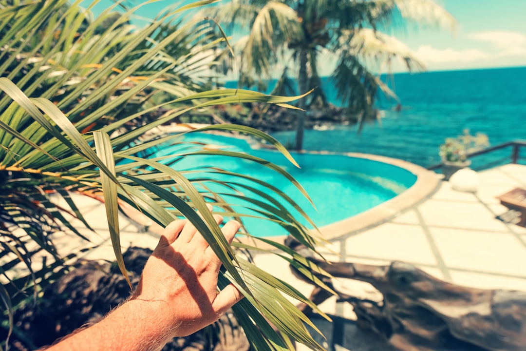 Privacy Pools on Optimism: Enhancing Transaction Anonymity