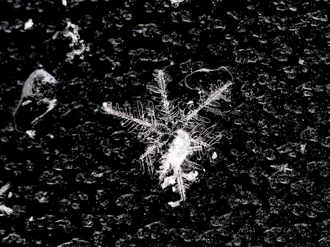 Snowflake Bridge: Enhancing Tor Privacy for Cryptocurrency Users