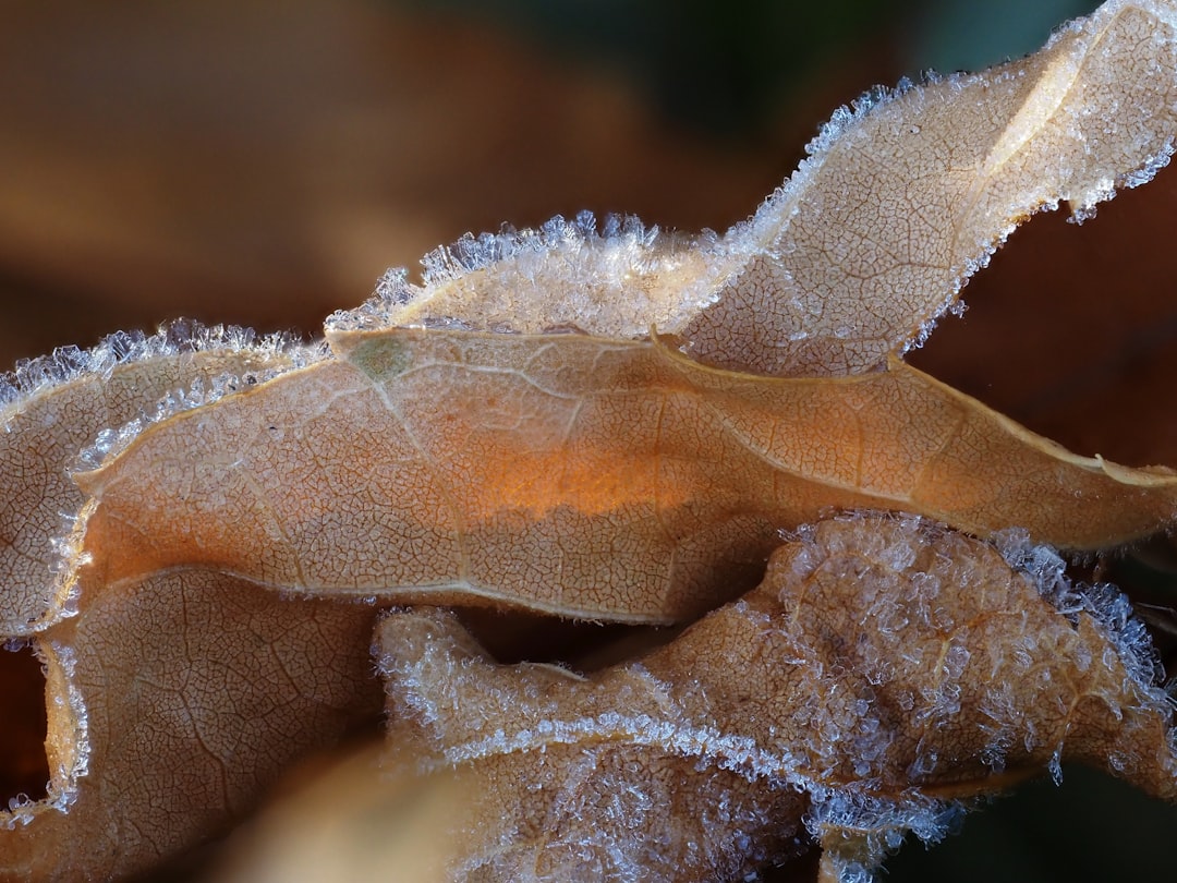 The Controversial Practice of Freezing Stablecoins