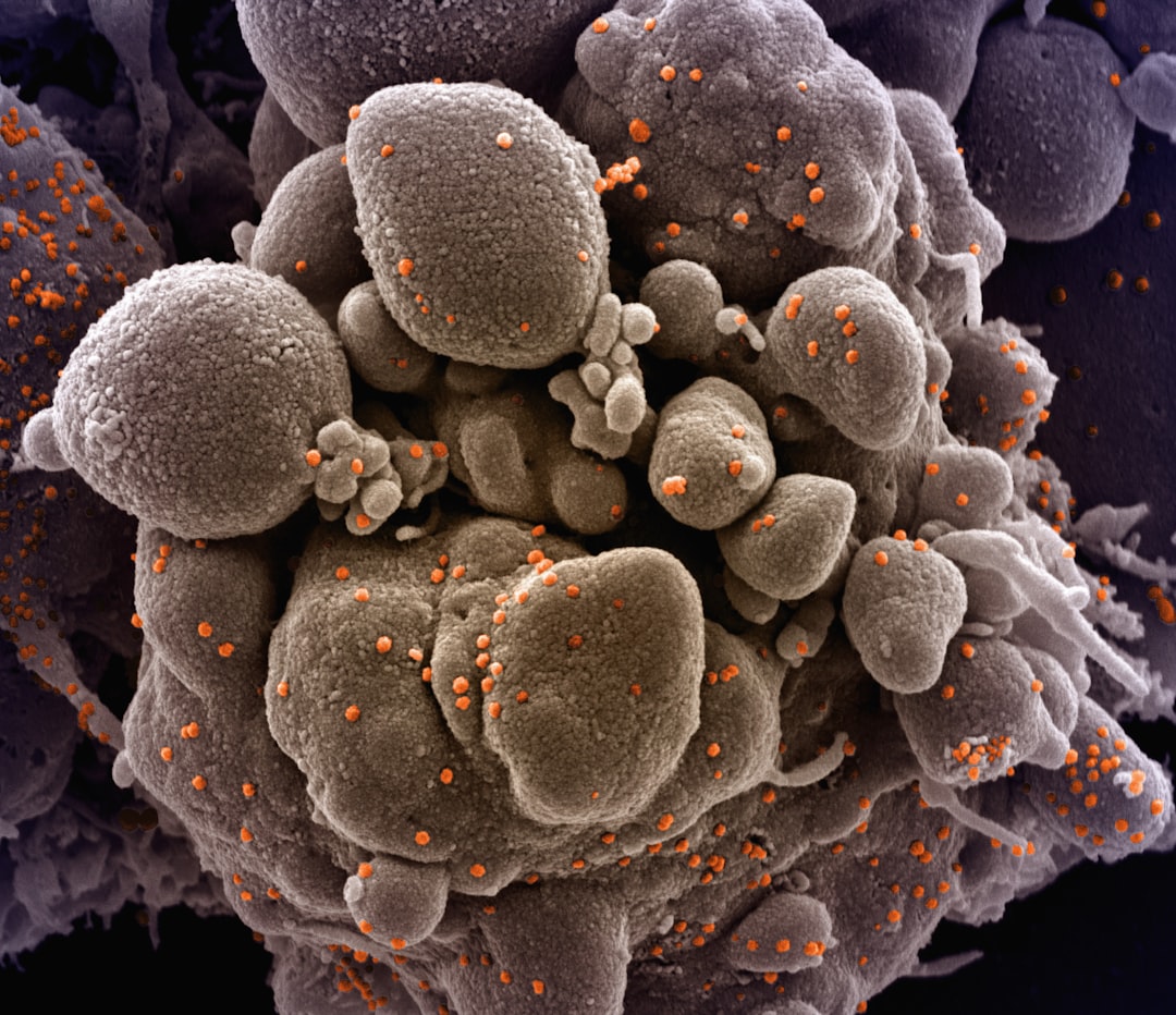 **Title:** "Mastering Cryptocurrency Privacy: The Power of Plausible Deniability