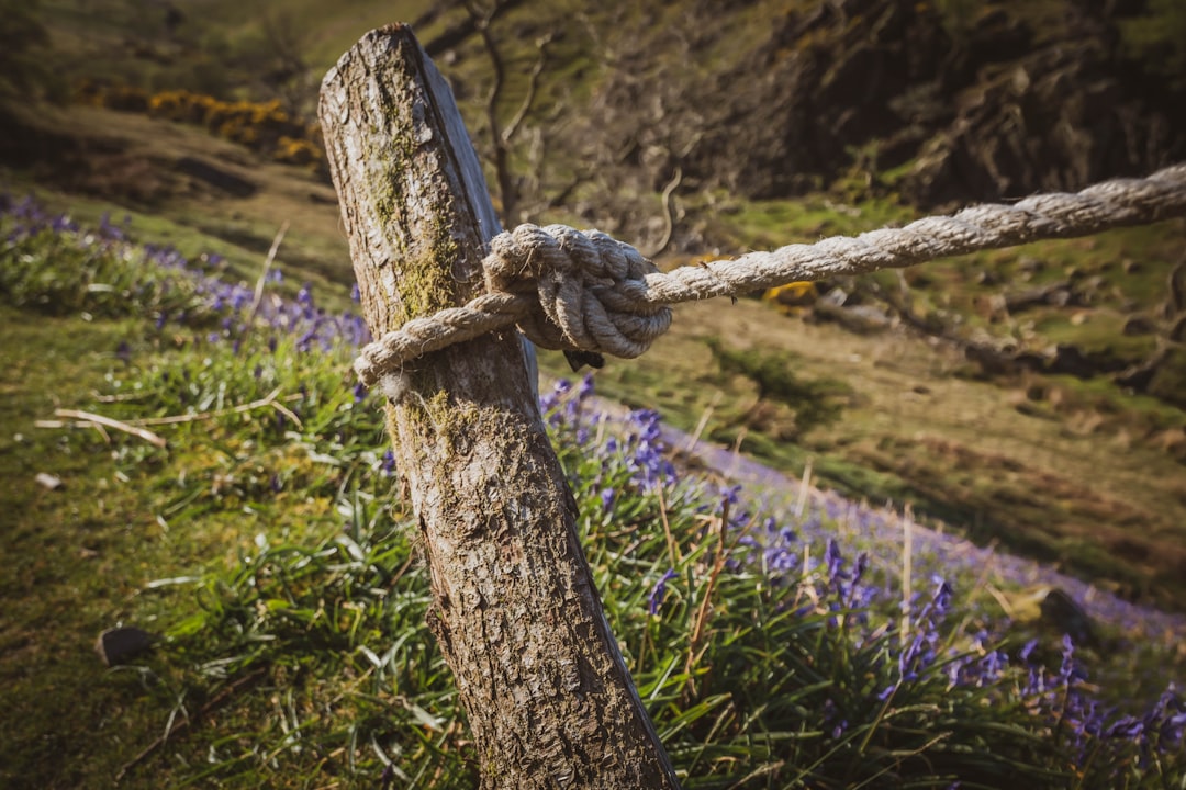 Tor Exit Nodes: The Gateway to Anonymous Browsing