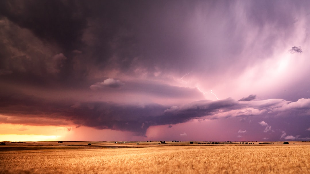 Tornado Cash Relayer: A Trustworthy Privacy Solution for Crypto Users