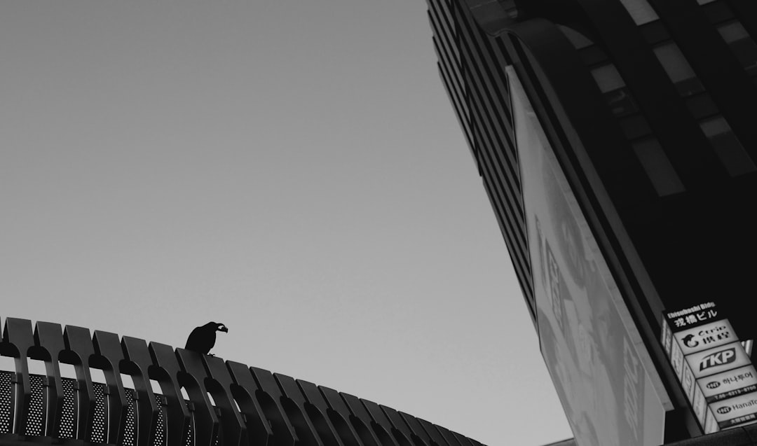 Transaction Monitoring Systems: Enhancing Security in Cryptocurrency