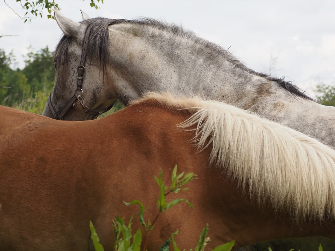 Understanding Anonymous End Recipients in Cryptocurrency