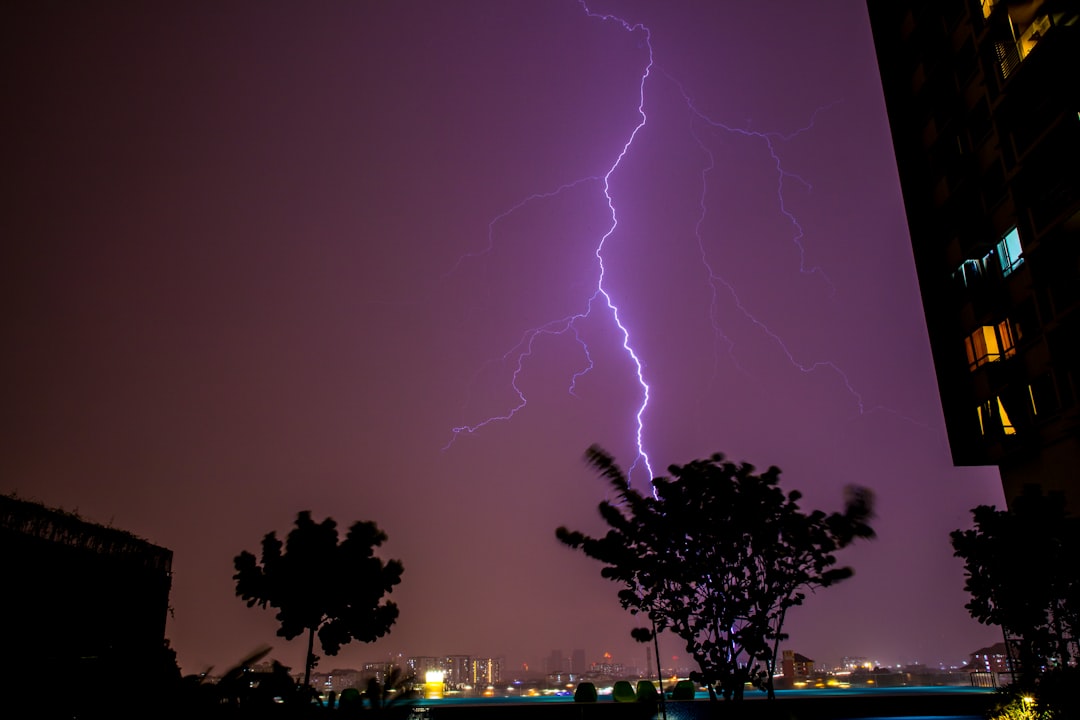 Understanding Lightning Network Phoenix Fees: A Guide to Cost-Effective Crypto Transactions